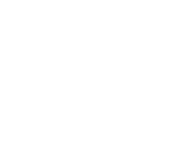 Fall Guys