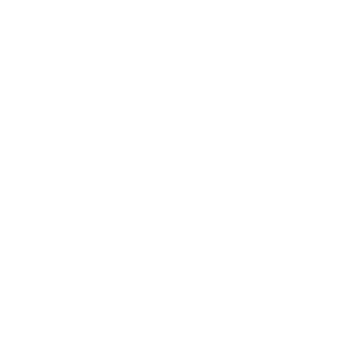 Singularity 6